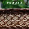 Pileflet 2: mere teknik (Bog, Hardback, Dansk) af Jane Enemark