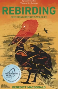 Rebirding: Restoring Britain's Wildlife (Bog, Paperback / softback, Engelsk) af Benedict Macdonald