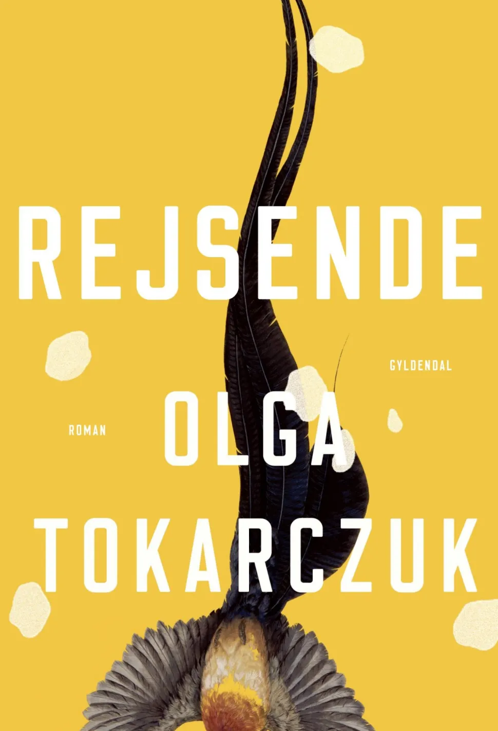 Rejsende (Ebog, epub, Dansk) af Olga Tokarczuk