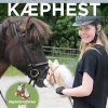 Ridning på kæphest: Kæphesterytterens ABC (Bog, Indbundet, Dansk) af Annika Schalük