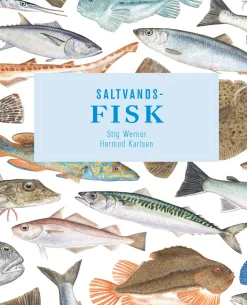 Saltvandsfisk (Ebog, epub, Dansk) af Stig Werner