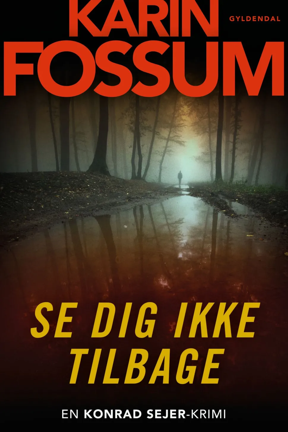 Se dig ikke tilbage (Ebog, epub, Dansk) af Karin Fossum