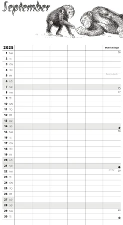 Skoleårskalender Wild 25/26 - 5 kolonner