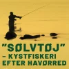 Sølvtøj – kystfiskeri efter havørred. Håndbog for lystfiskere (Ebog, epub, Dansk) af Jens Ploug Hansen