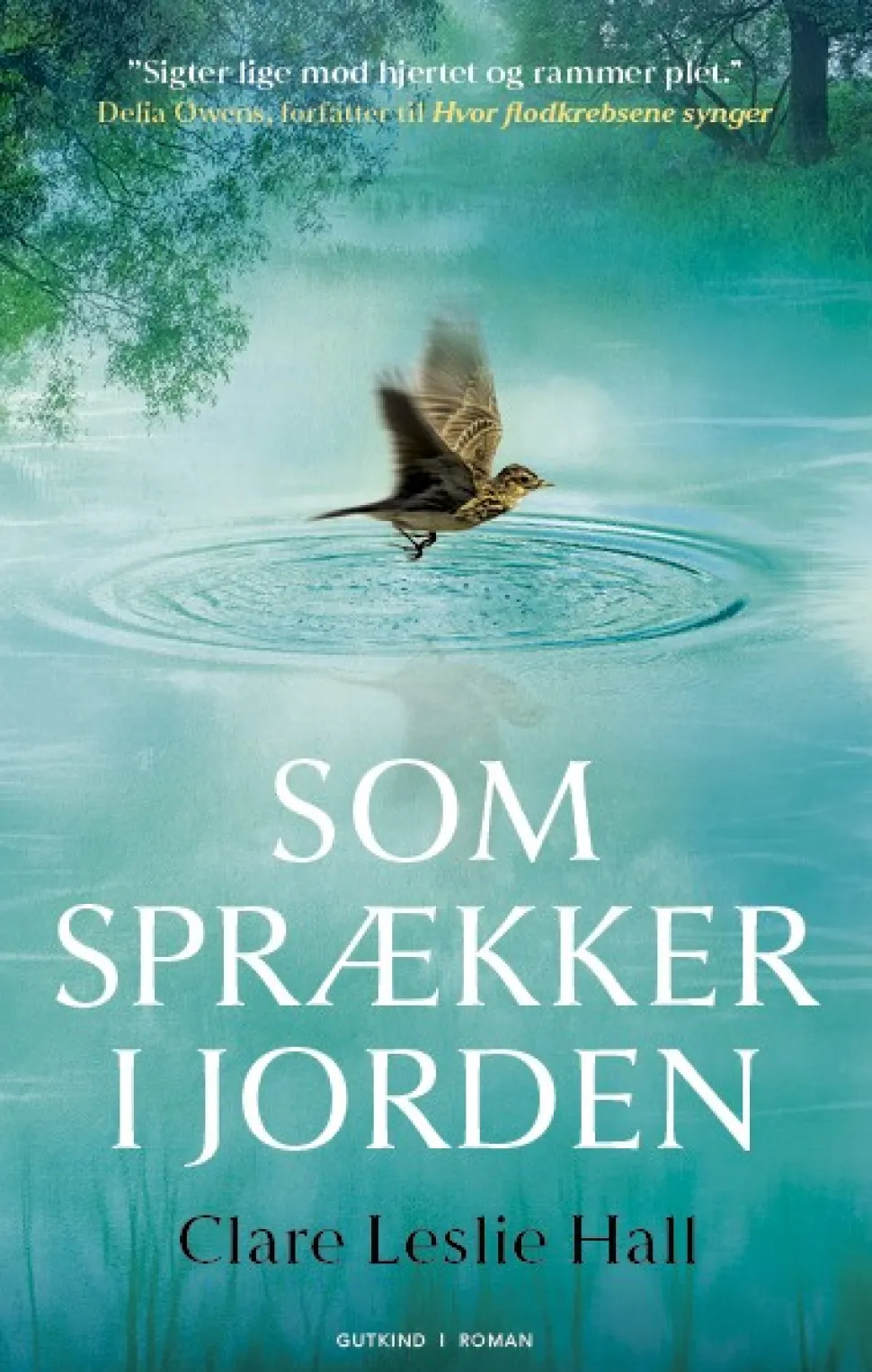 Som sprækker i jorden (Bog, Indbundet, Dansk) af Clare Leslie Hall