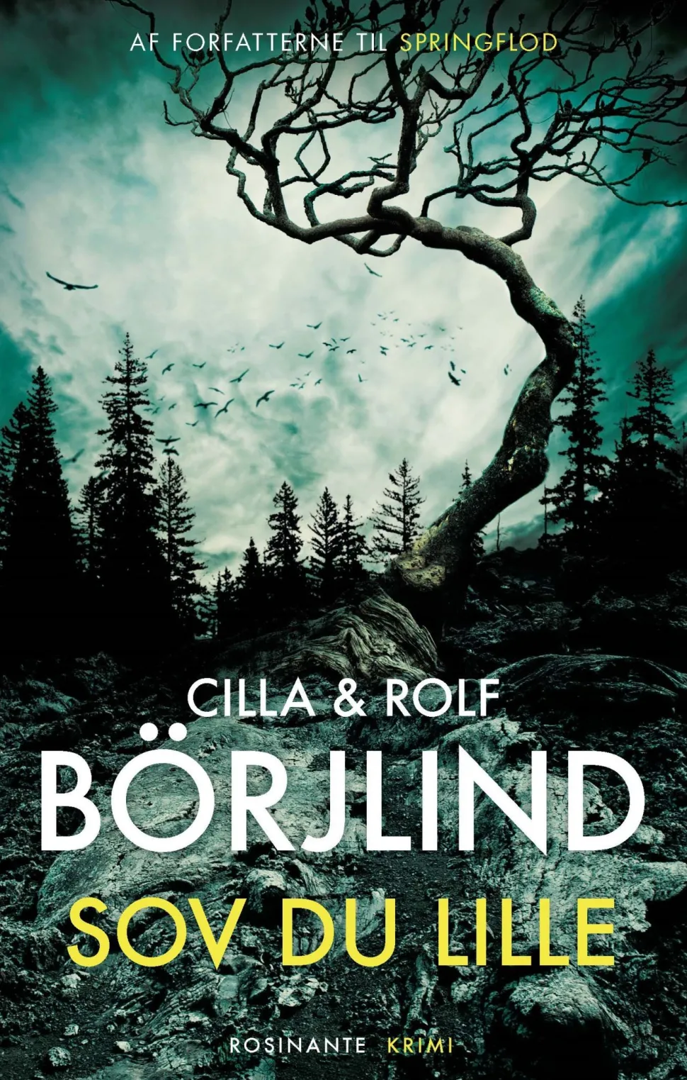 Sov du lille (Ebog, epub, Dansk) af Cilla og Rolf Börjlind