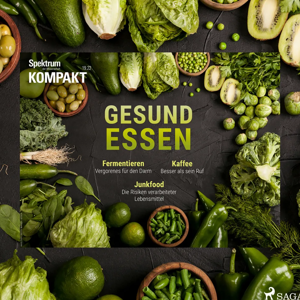 Spektrum Kompakt: Gesund essen (Lydbog, zip_mp3, Tysk) af Spektrum Kompakt