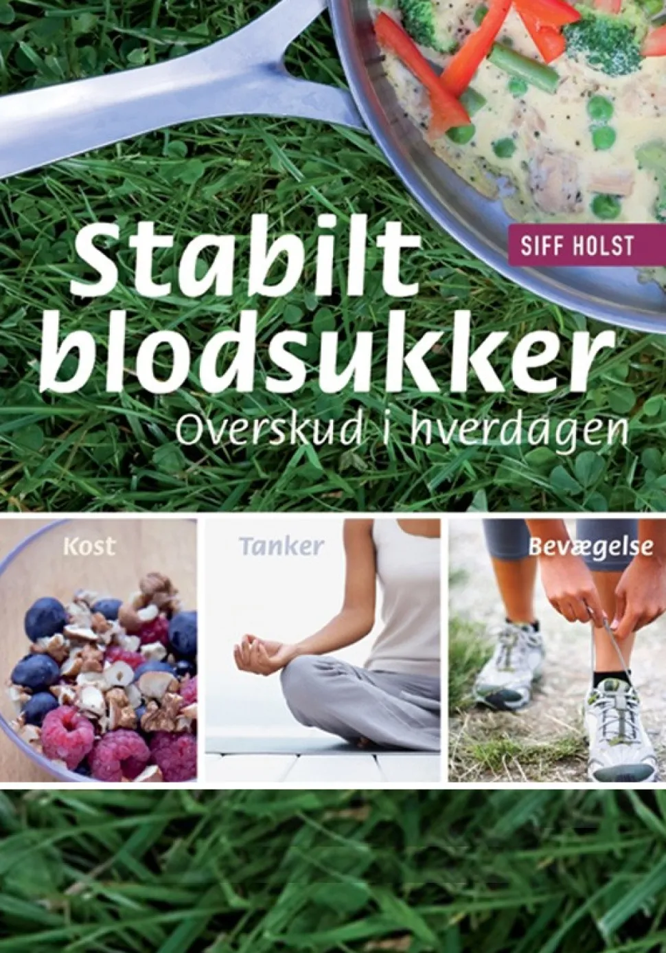 Stabilt blodsukker - overskud i hverdagen: kost - tanker - bevægelse (Ebog, epub, Dansk) af Siff Holst