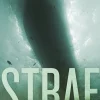 Straf (Lydbog, zip_mp3, Dansk) af Håkan Nesser