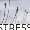 Stress - det moderne traume (Bog, Hæftet, Dansk) af Nadja U. Prætorius