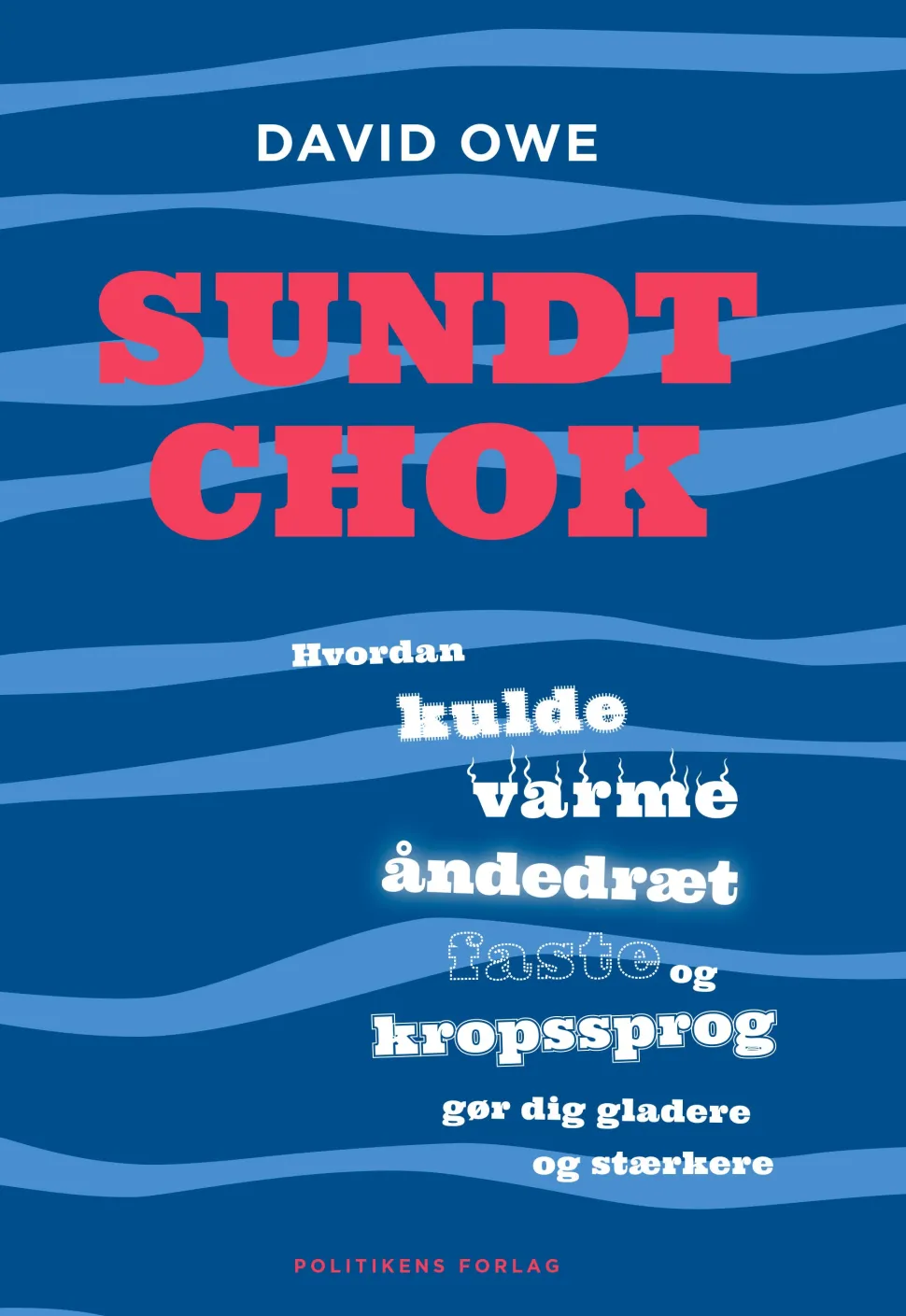 Sundt chok (Ebog, epub, Dansk) af David Owe