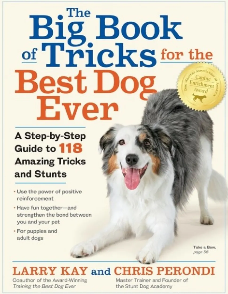 The Big Book of Tricks for the Best Dog Ever: A Step-by-Step Guide to 118 Amazing Tri... (Bog, Paperback / softback, Engelsk)