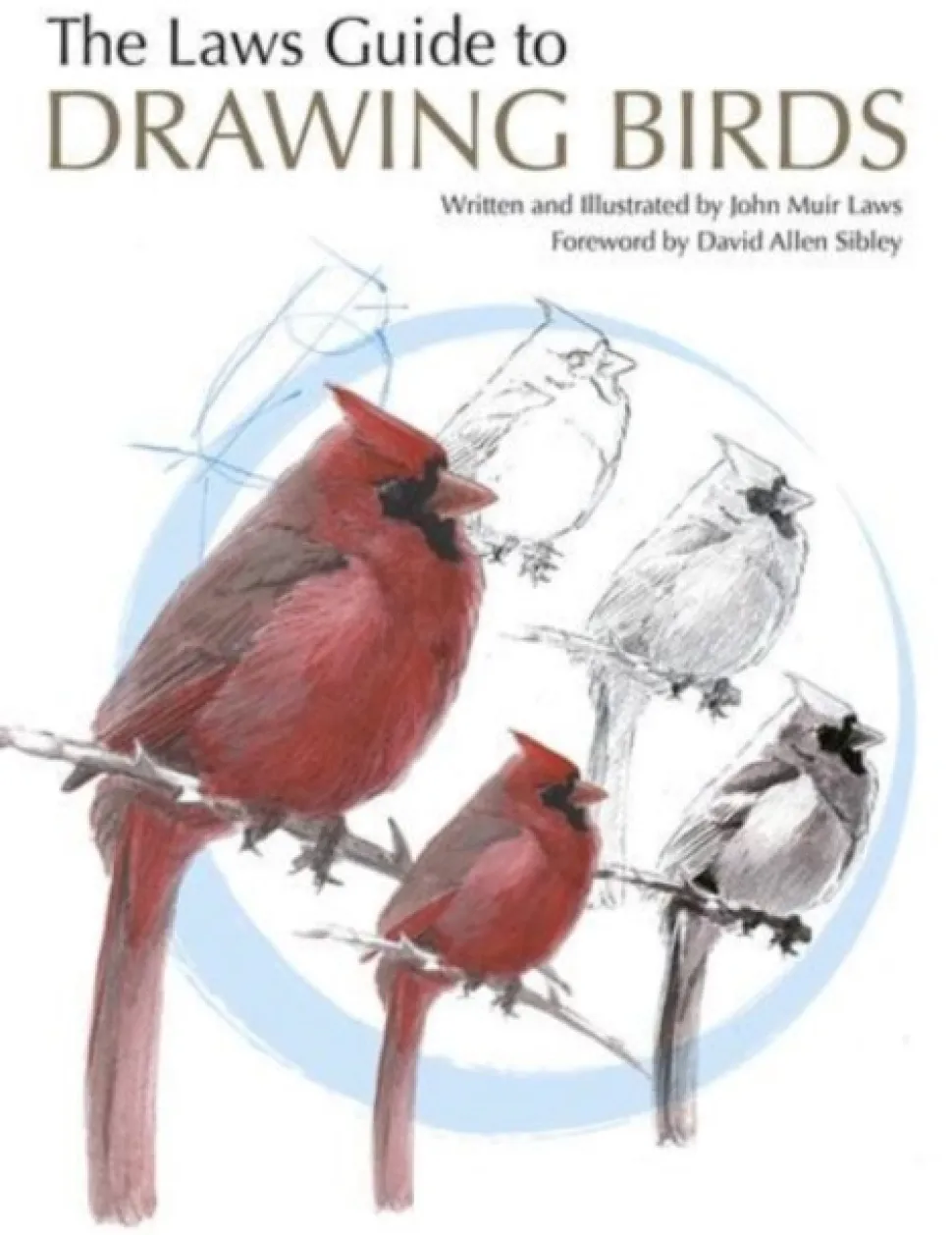 The Laws Guide to Drawing Birds (Bog, Paperback / softback, Engelsk) af John Muir Laws