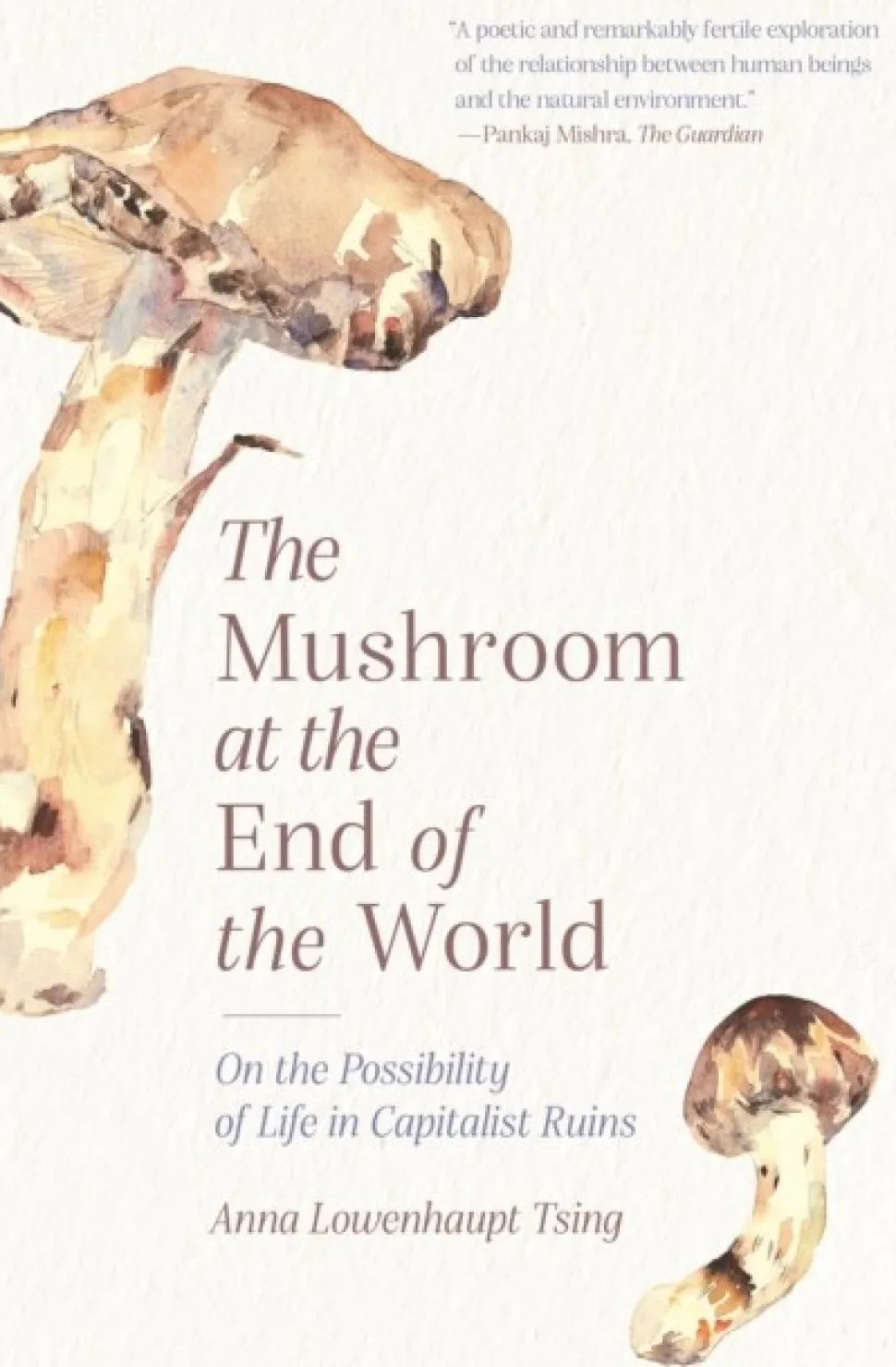 The Mushroom at the End of the World: On the Possibility of Life in Capitalist Ruins (Bog, Paperback / softback, Engelsk)
