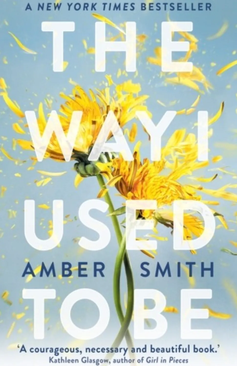 The Way I Used to Be: The TikTok sensation (Bog, Paperback / softback, Engelsk) af Amber Smith