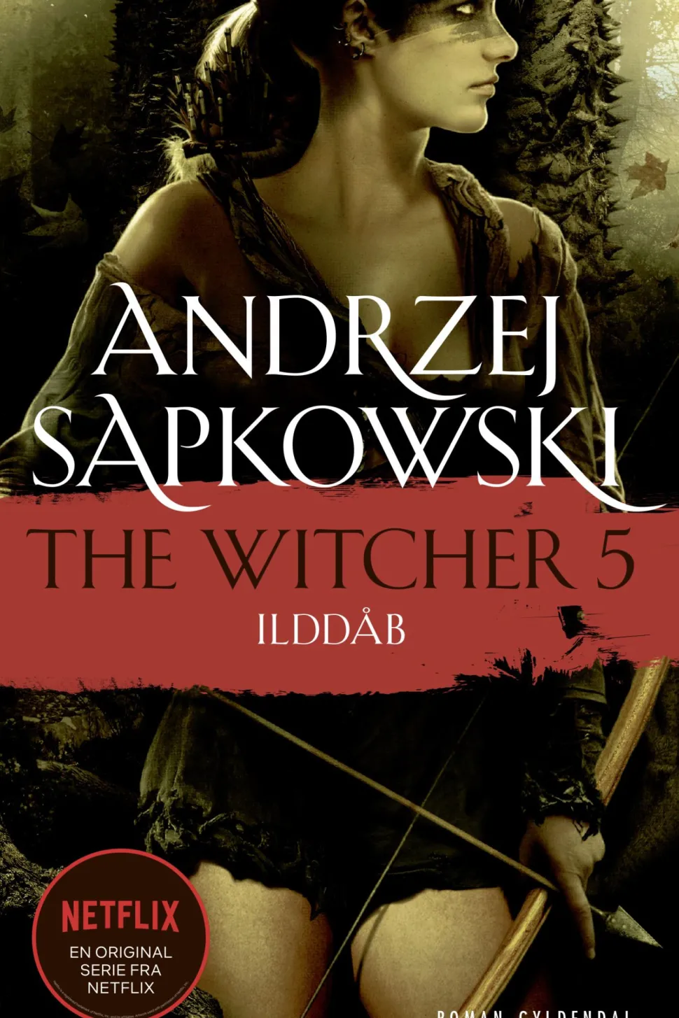 THE WITCHER 5: Ilddåb (Ebog, epub, Dansk) af Andrzej Sapkowski