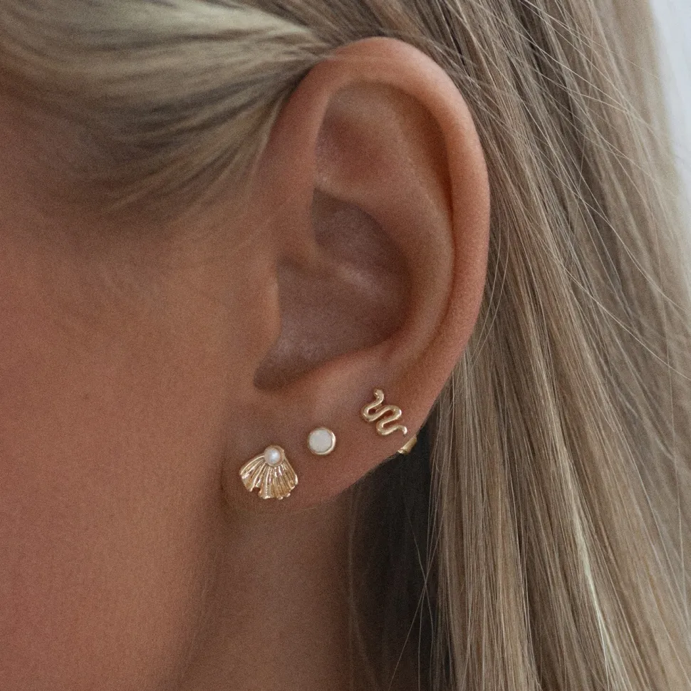 Timi of Sweden: Aria - Shell with Pearl Stud Earrings - Gold (Smykke, Earrings)