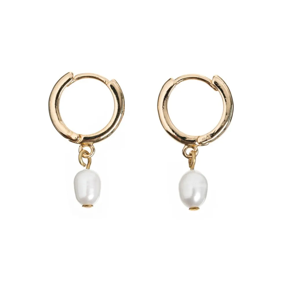Timi of Sweden: Pearl Small Hoop Earrings - Gold (Smykke, Earrings)