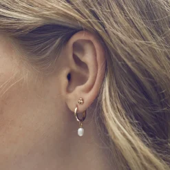 Timi of Sweden: Pearl Small Hoop Earrings - Gold (Smykke, Earrings)