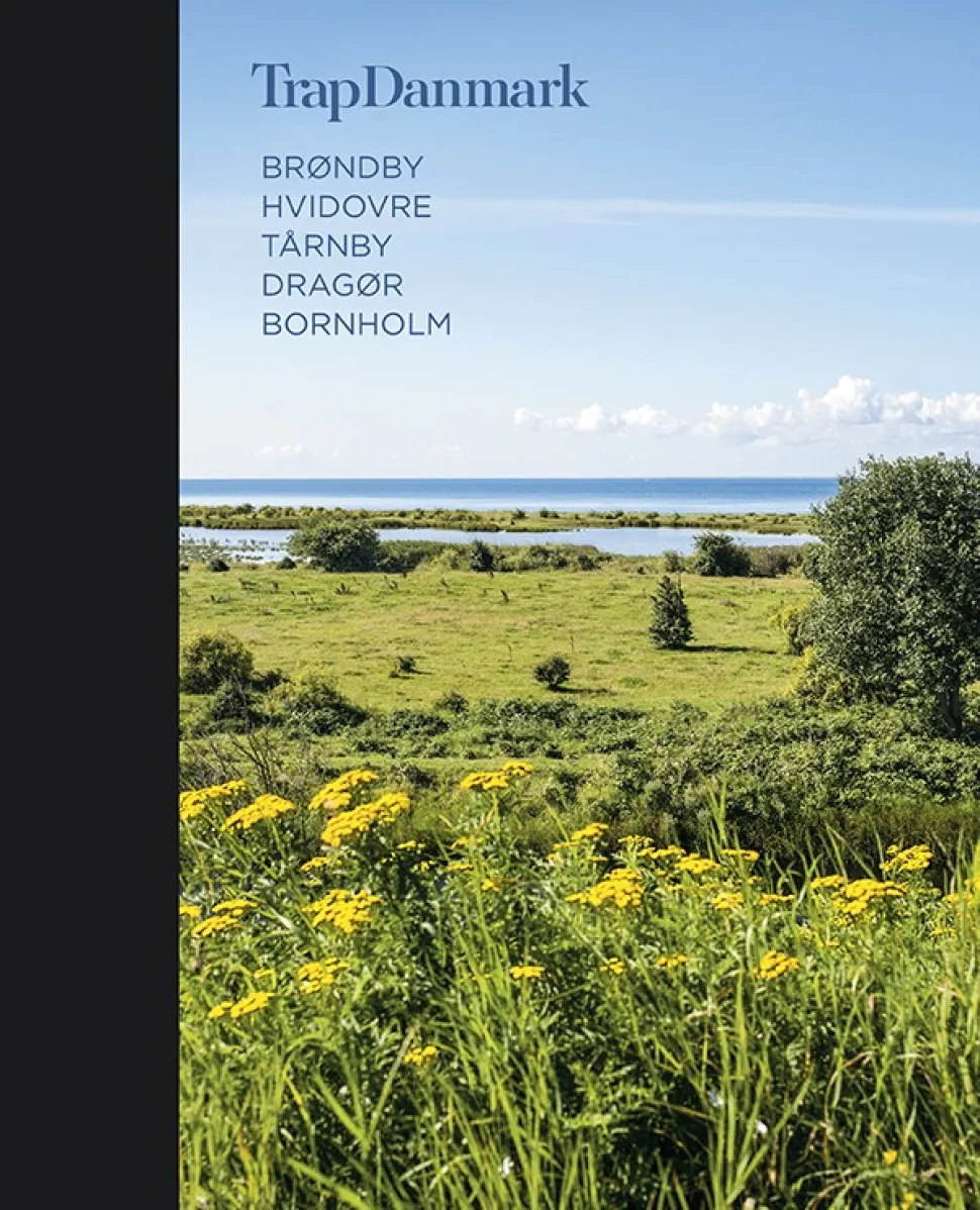 Trap Danmark: Brøndby, Hvidovre, Tårnby, Dragør, Bornholm: Trap Danmark, 6. udgave, b... (Bog, Hardback, Dansk)