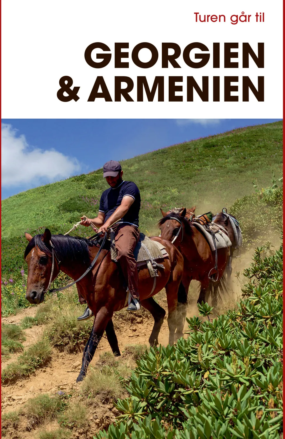 Turen går til Georgien & Armenien (Bog, Hæftet, Dansk) af Søren Engelbrecht Hansen