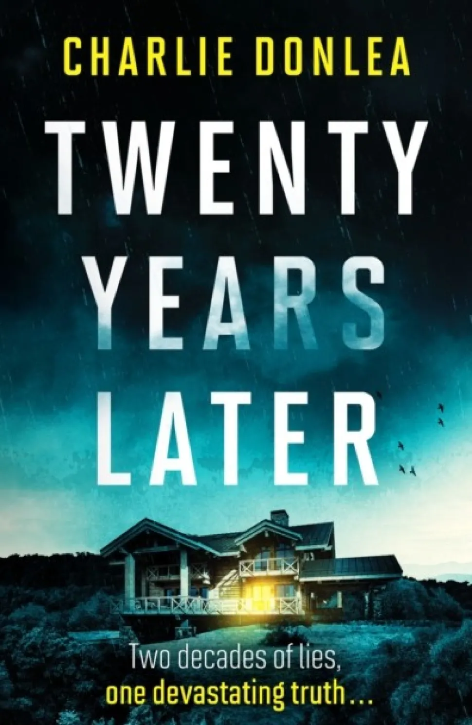 Twenty Years Later: An unputdownable cold case murder mystery with a jaw dropping finale (Bog, Paperback / softback, Engelsk)