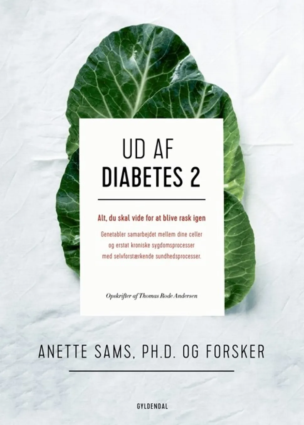 Ud af diabetes 2 (Bog, Indbundet, Dansk) af Anette Sams