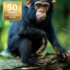 Uganda (Bog, Paperback / softback, Engelsk)