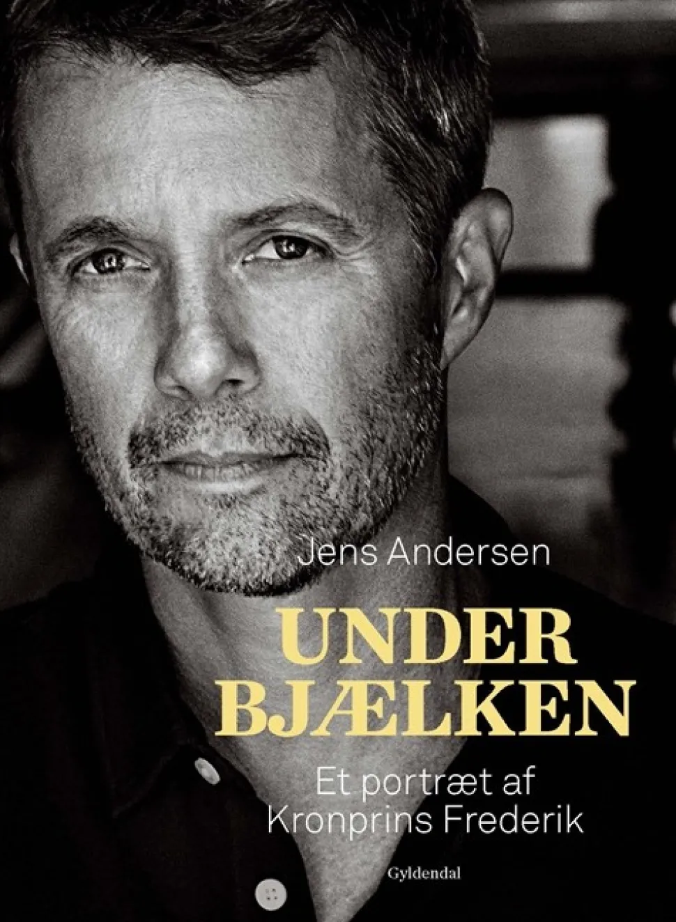 Under bjælken: Et portræt af Kronprins Frederik (Bog, Indbundet, Dansk) af Jens Andersen