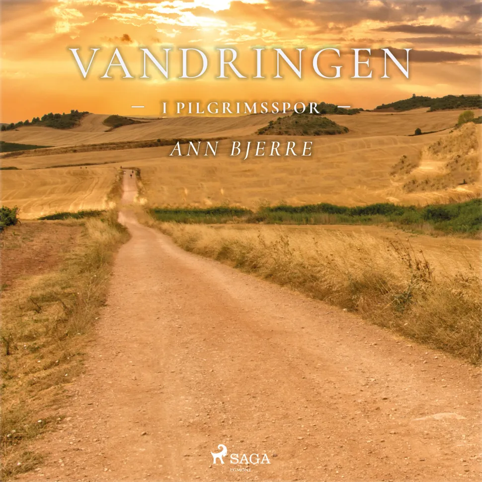 Vandringen - I pilgrimsspor (Lydbog, zip_mp3, Dansk) af Ann Bjerre
