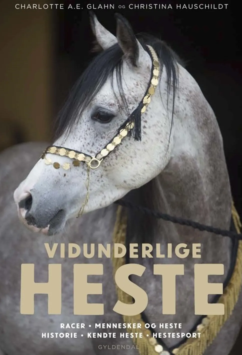 Vidunderlige heste (Bog, Indbundet, Dansk) af Charlotte A. E. Glahn