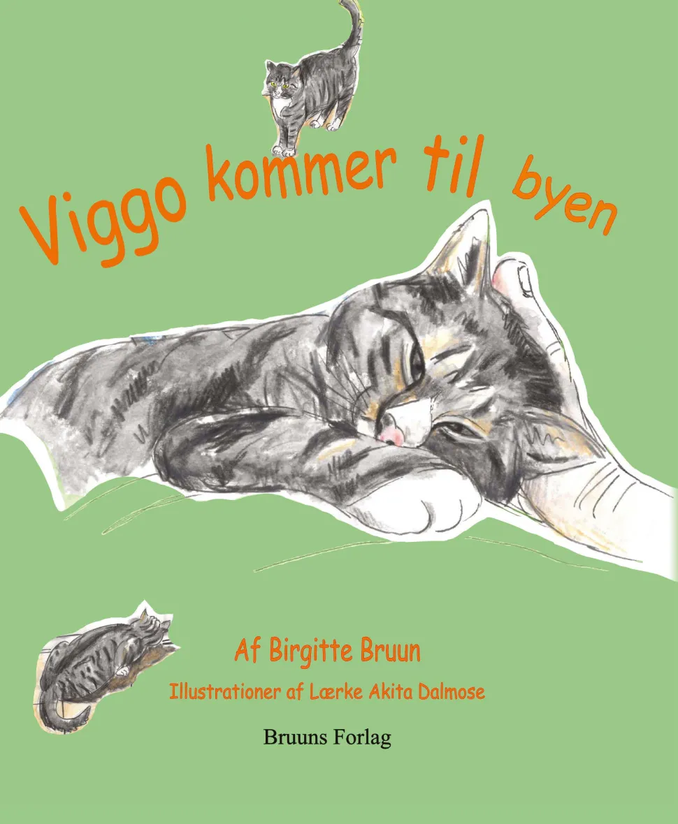 Viggo kommer til byen (Lydbog, zip_mp3, Dansk) af Birgitte Bruun