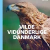 Vilde vidunderlige Danmark (Lydbog, zip_mp3, Dansk) af Allan Gudio Nielsen