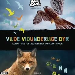 Vilde Vidunderlige Dyr - Fantastiske fortællinger fra Danmarks natur (Lydbog, zip_mp3, Dansk) af DR Ramasjang