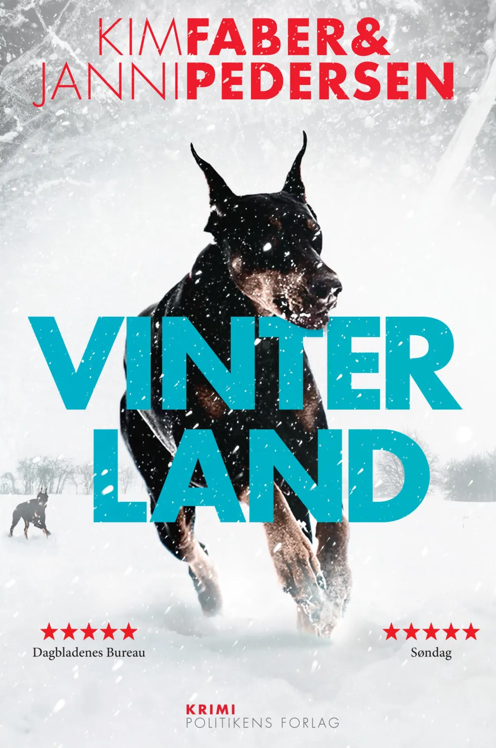 Vinterland (Ebog, epub, Dansk) af Kim Faber