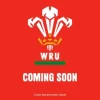 Welsh Rugby Union Square Calendar 2025 (Kalender, Calendar, Engelsk)