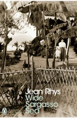 Wide Sargasso Sea (Bog, Paperback / softback, Engelsk) af Jean Rhys
